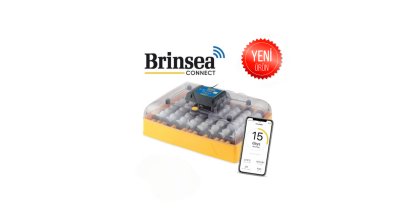 OVATION 56 EX CONNECT(YENİ ÜRÜN)